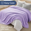 CGK Christmas Fleece Blanket Throw Size – Flannel Throw – Red Flakes, 50×60(05 – Pastel Lilac)