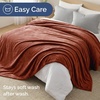 CGK Christmas Fleece Blanket Throw Size – Flannel Throw – Red Flakes, 50×60(13 – Mocha Mousse)